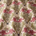 acanthus cherry