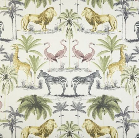 zoology everglade